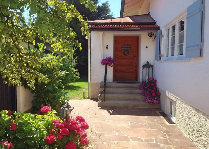 Vergissmeinnicht * Oberaudorf