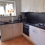 Vergissmeinnicht Oberaudorf